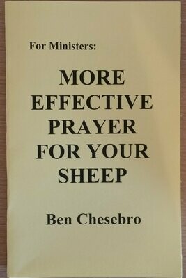 For Ministers – More Effective Prayer for Your Sheep