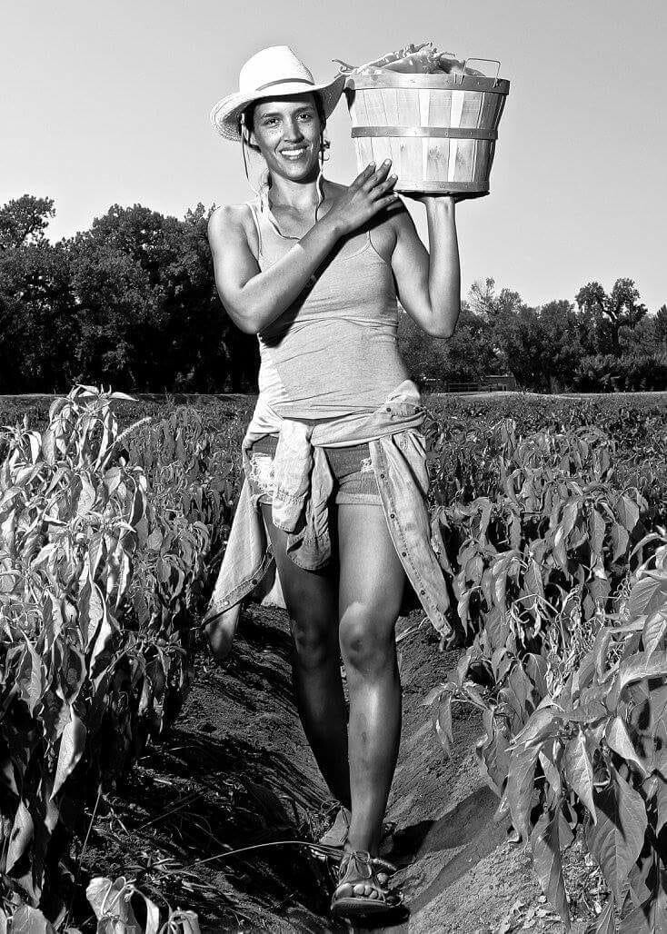 CBD Oil Red Chile CBD Cream EXTRA STRENGTH 500mg CBD 2 oz jar(Travel Size), by Seebinger Hemp. Purchase 2 jars at $35.00 per jar, receive 1 free! CBD Oil Red Chile CBD Cream EXTRA STRENGTH 500mg CBD 2 oz jar(Travel Size), by Seebinger Hemp. Purchase 2 jars at $35.00 per jar, receive 1 free!