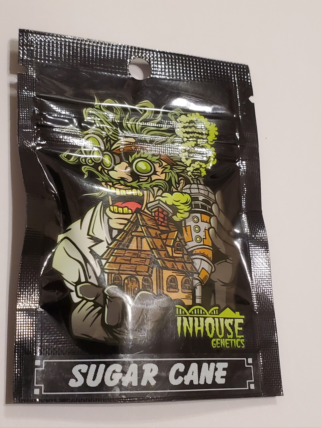 SUGAR CANE (5 *FEMINIZED seeds per pack)