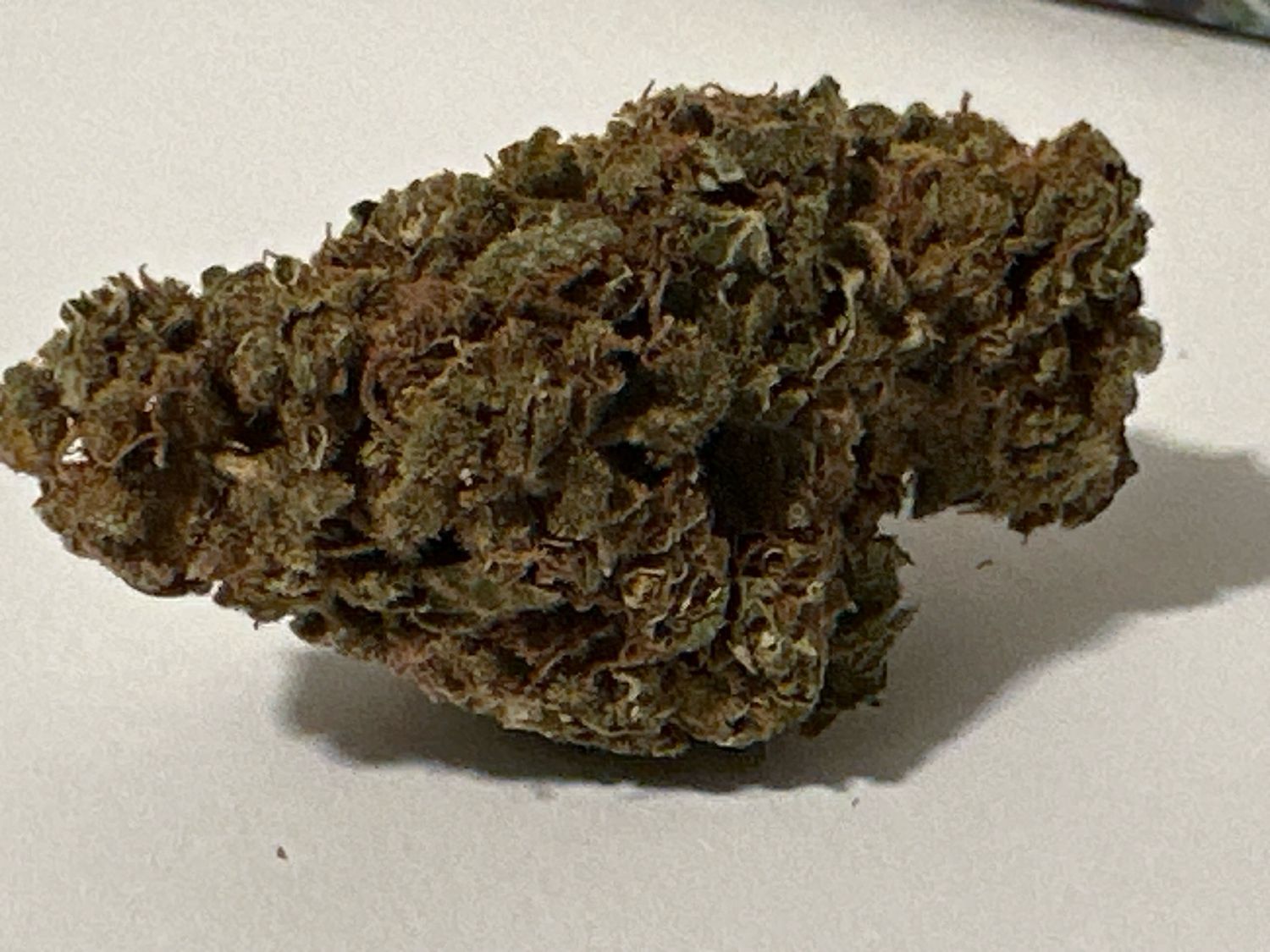 BLACK GORILLA.  INDICA: 60%/40%  THC: 18%-22%    ** This product contains seeds **