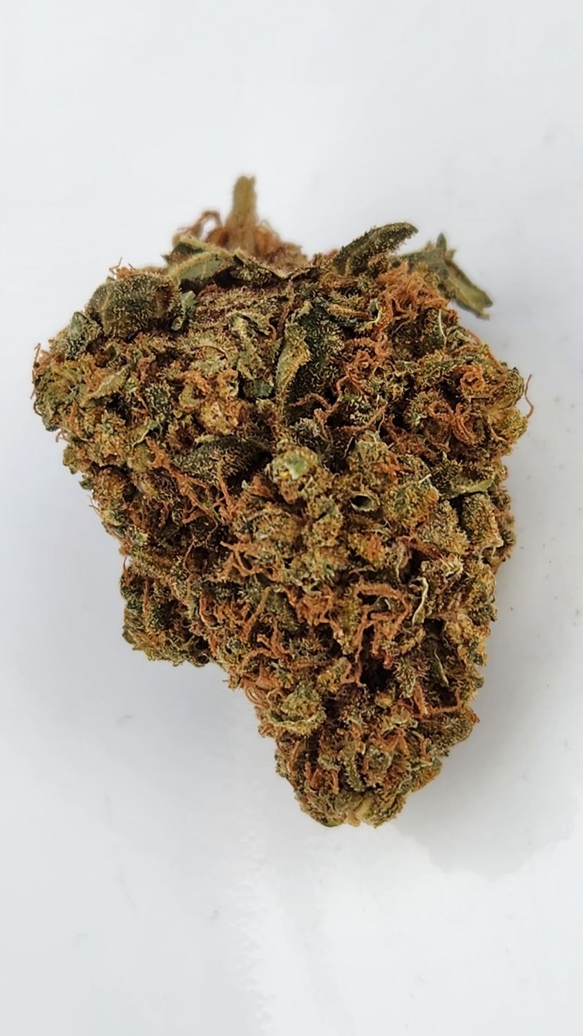   UK CHEESE.  INDICA: 80%/20%  THC: 20%-23%  * contains seeds *