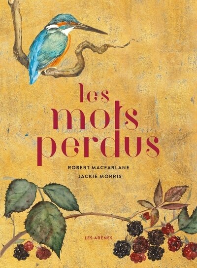 Les mots perdus
