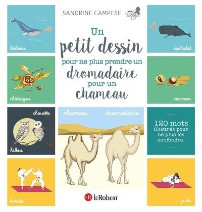UN PETIT DESSIN POUR NE PLUS PRENDRE UN DROMADAIRE POUR UN CHAMEAU