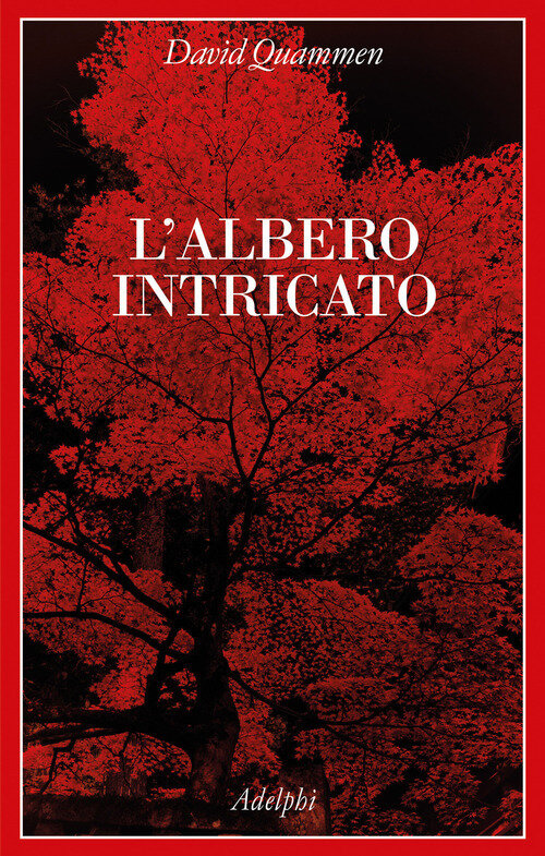 Albero intricato (L')