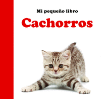 CACHORROS