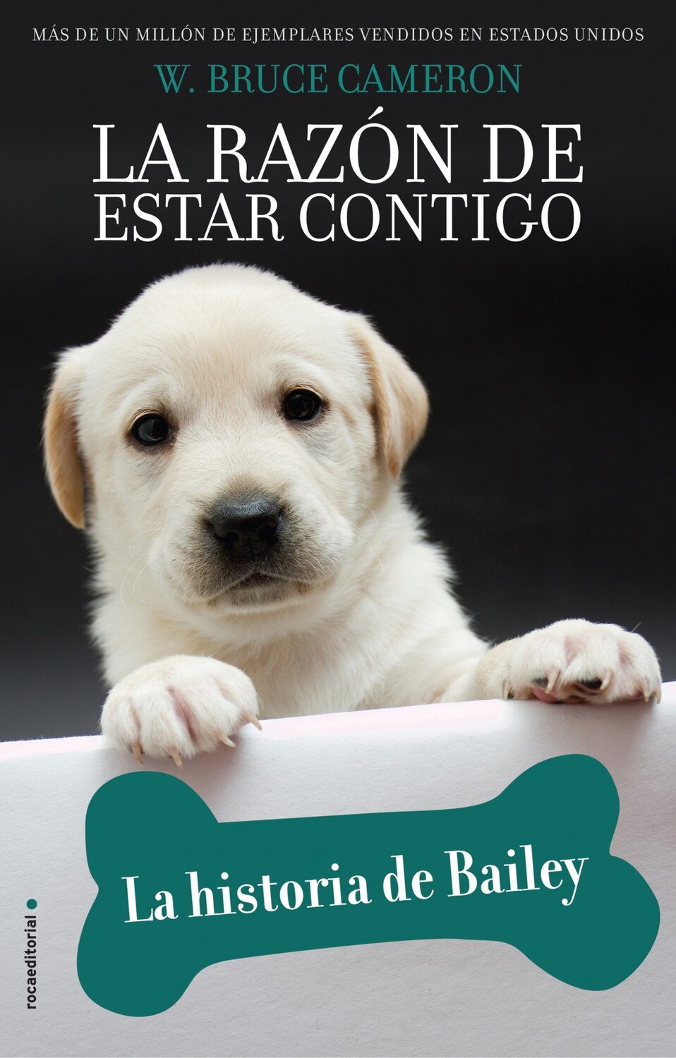 La razon de estar contigo. La historia de Bailey