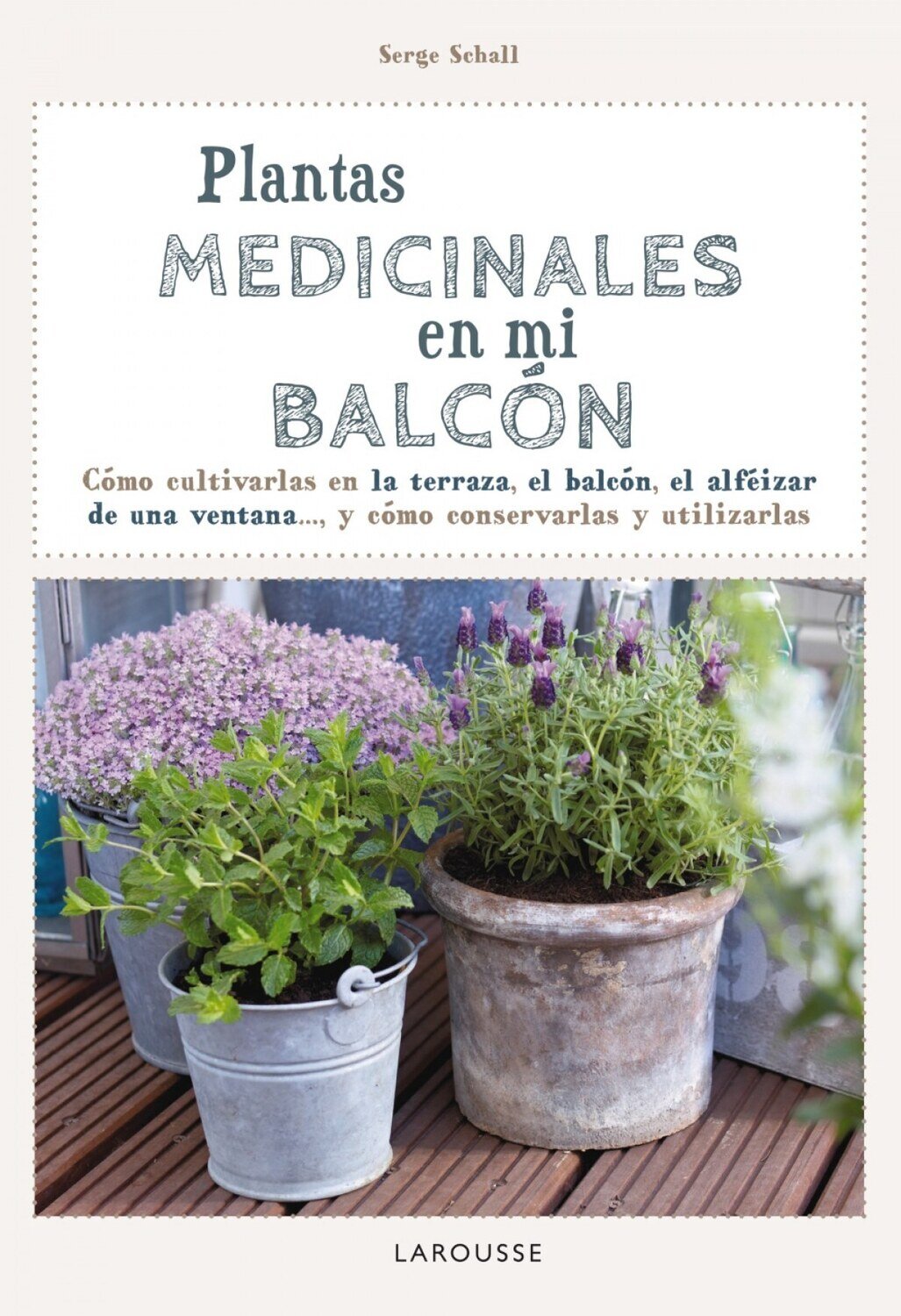 Plantas medicinales en mi balcon
