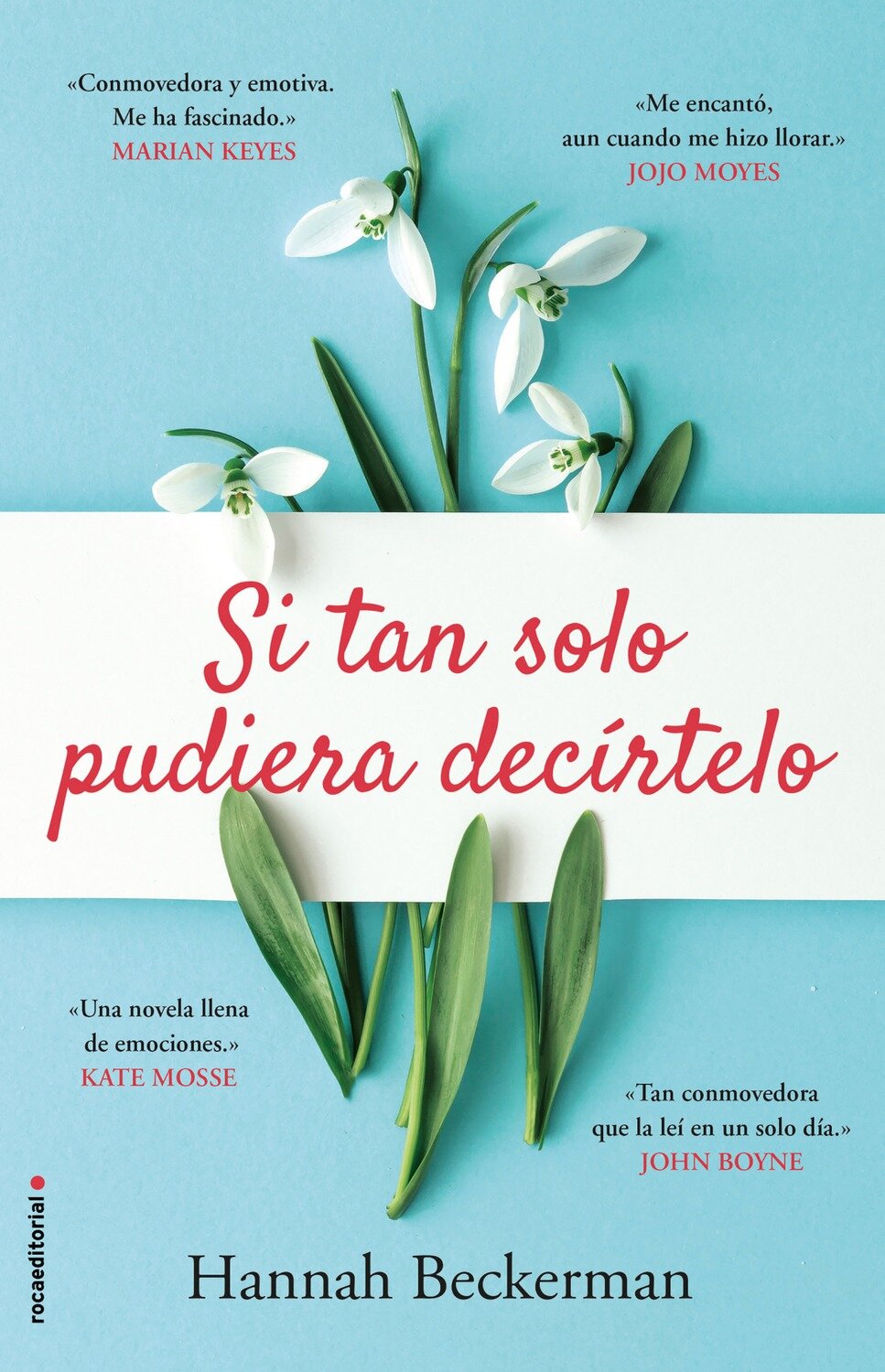SI TAN SOLO PUDIERA DECiRTELO