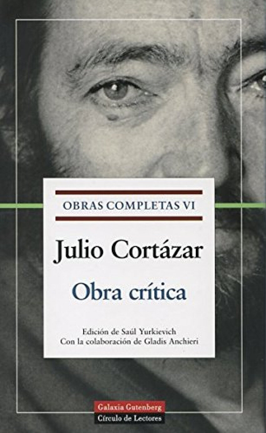 Vi.obra critica Julio Cortazar