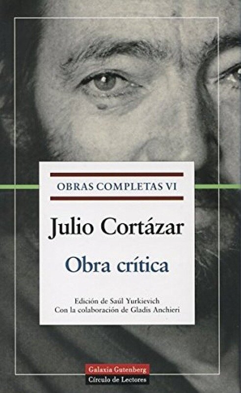 Vi.obra critica Julio Cortazar