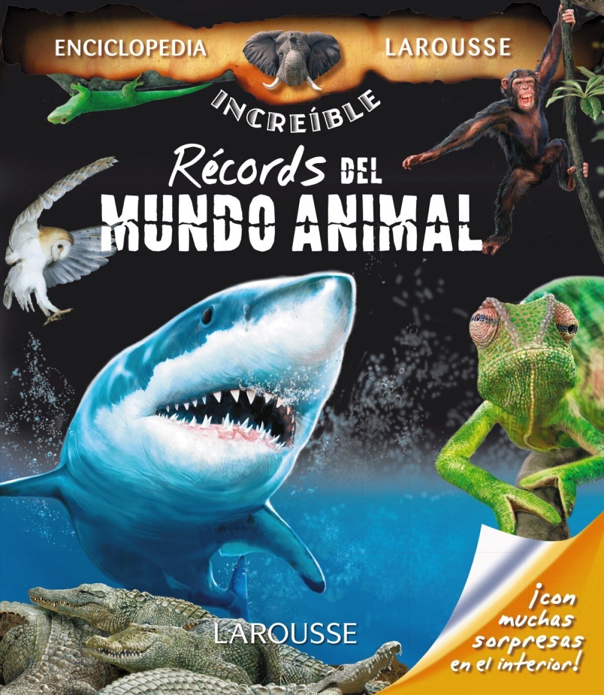 Records del mundo animal.