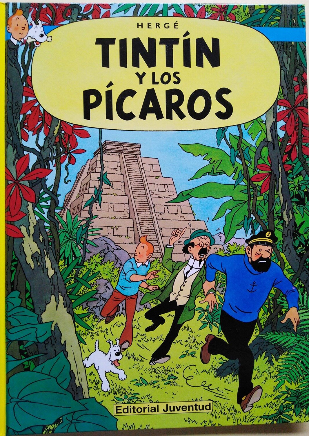Tintin y los "picaros"