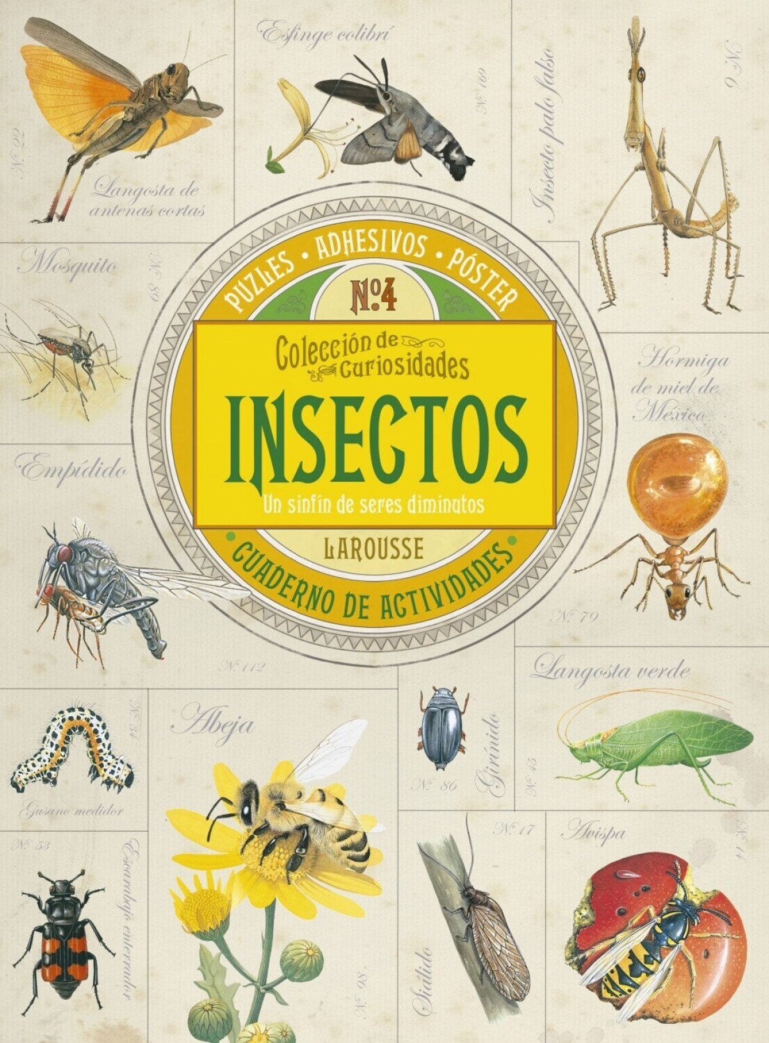 Insectos
