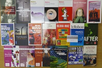 BUNDLE 06 : French novels and classics