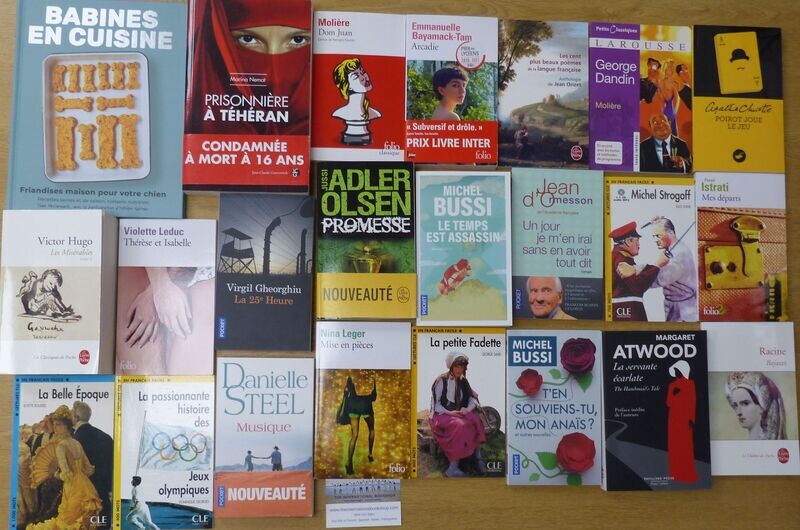 BUNDLE 14 : French Novels Assorted 2 BUNDLE 14 : French Novels Assorted 2