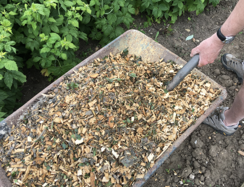 Mixed wood chip mulch