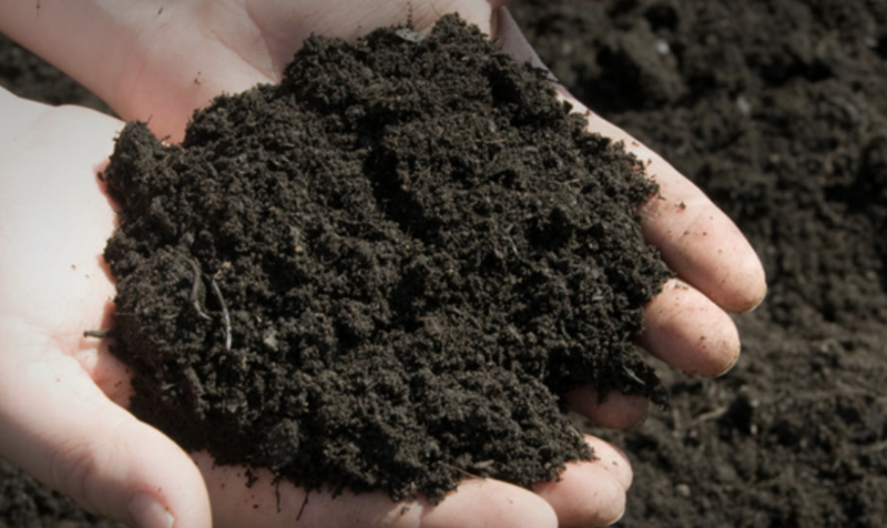 TOPSOIL Graded 10mm  LOOSE loads