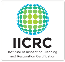 *IN PERSON* IICRC Carpet Cleaning Technician (March 3-4, 2026)