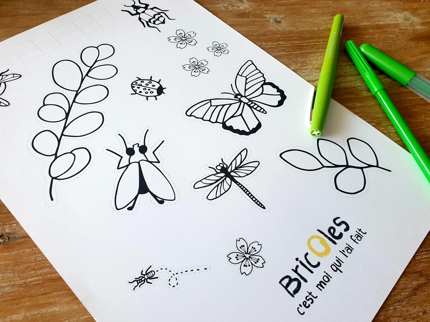 Insectes
