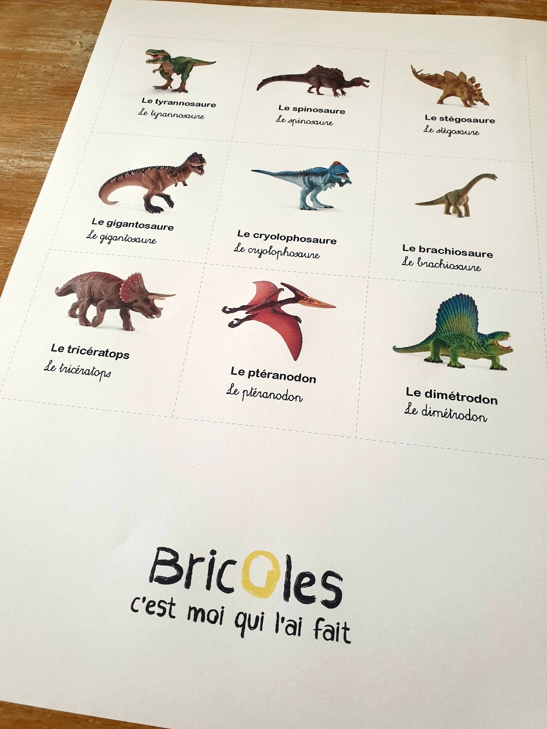 GRATUIT - Cartes de nomenclature dino