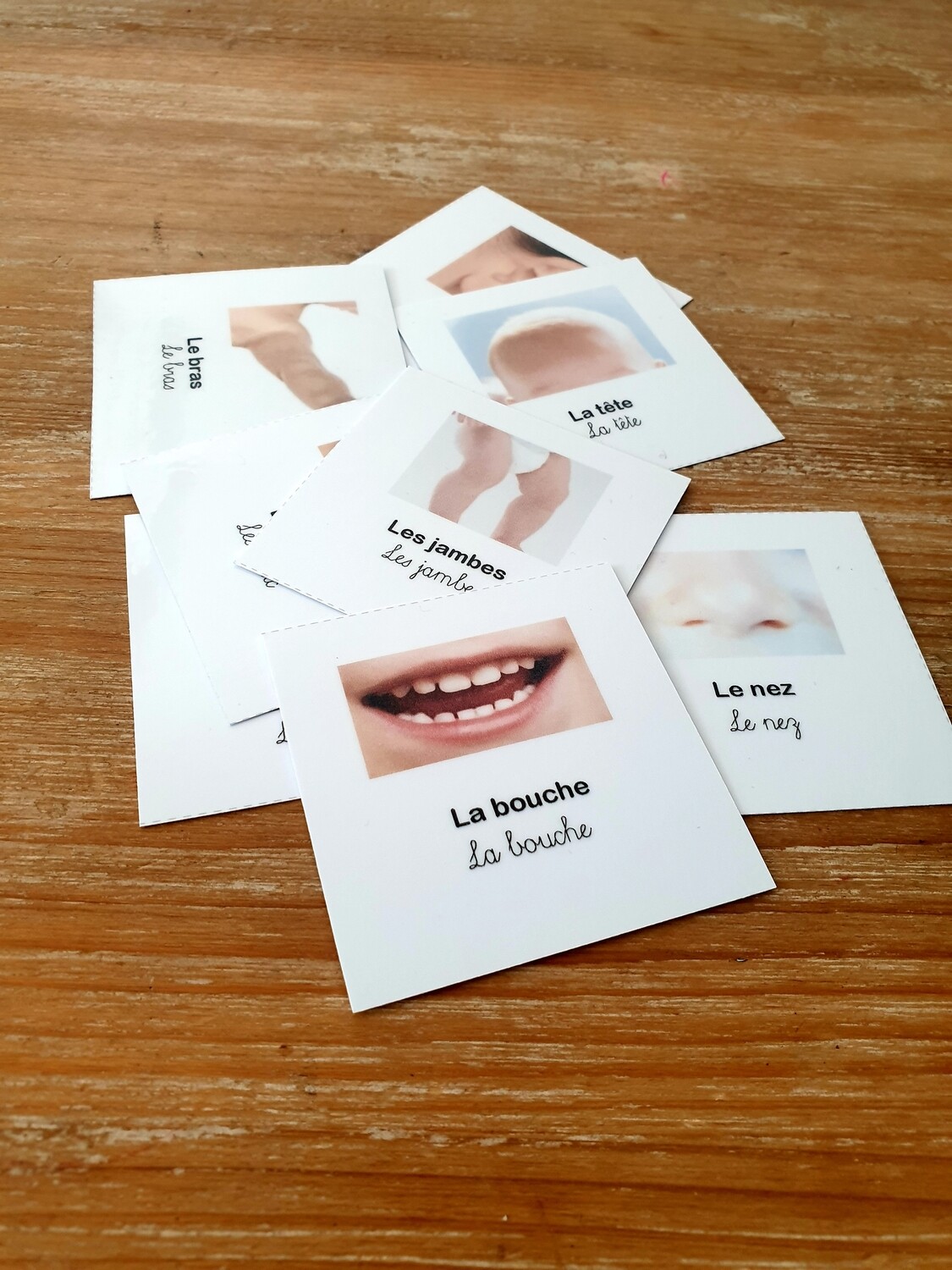 GRATUIT - Cartes de nomenclature corps humain