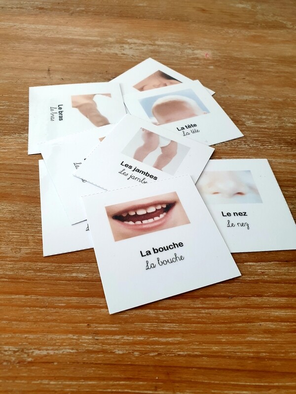 GRATUIT - Cartes de nomenclature corps humain