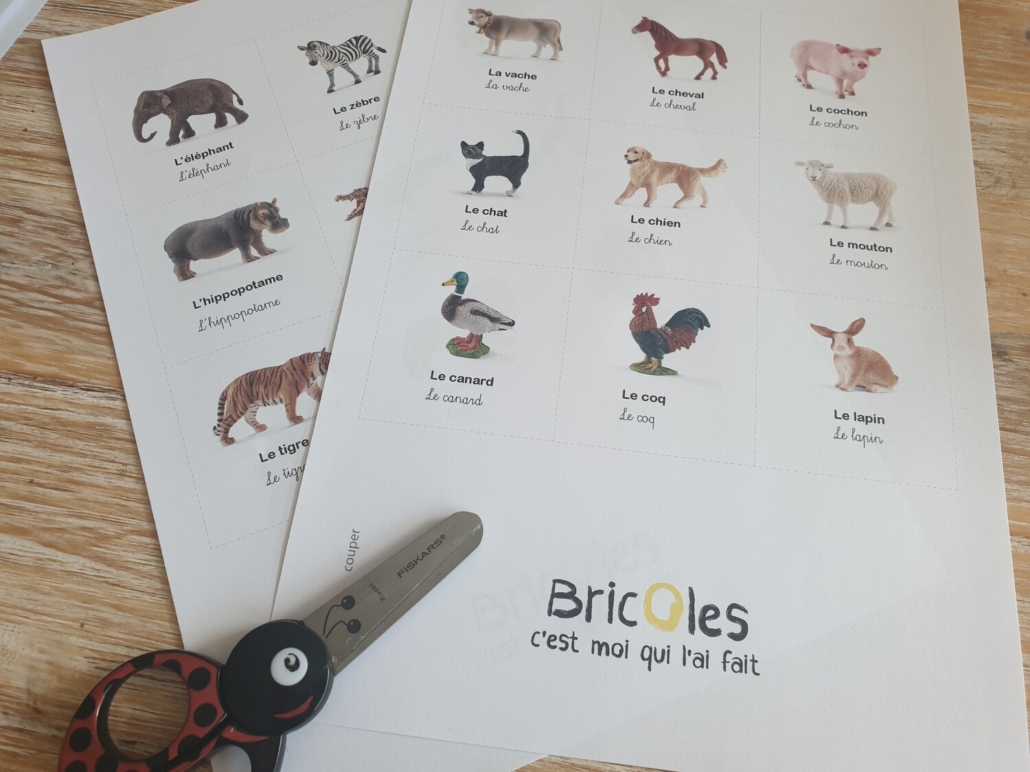 GRATUIT - Cartes de nomenclature animaux