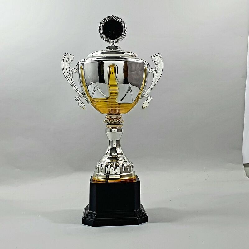 Pokalserie S74/silber gold