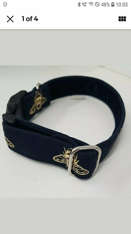 Luxury Gold and Navy Bumble Bee collar