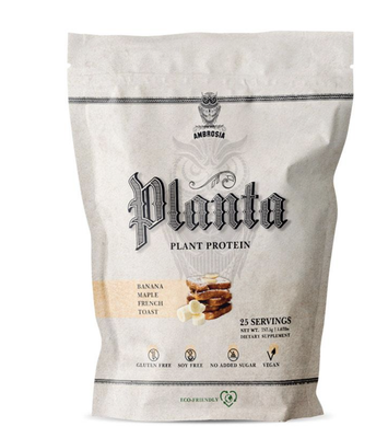 Planta banana maple toast