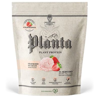 Planta Strawberry Shortcake