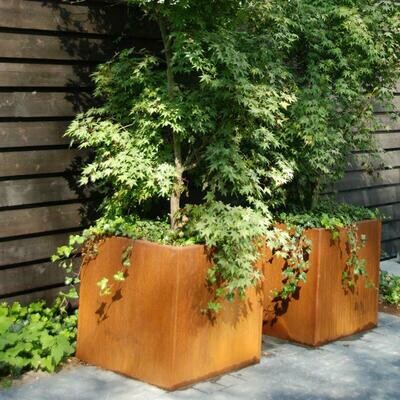 Bacs , pots et Jardinières