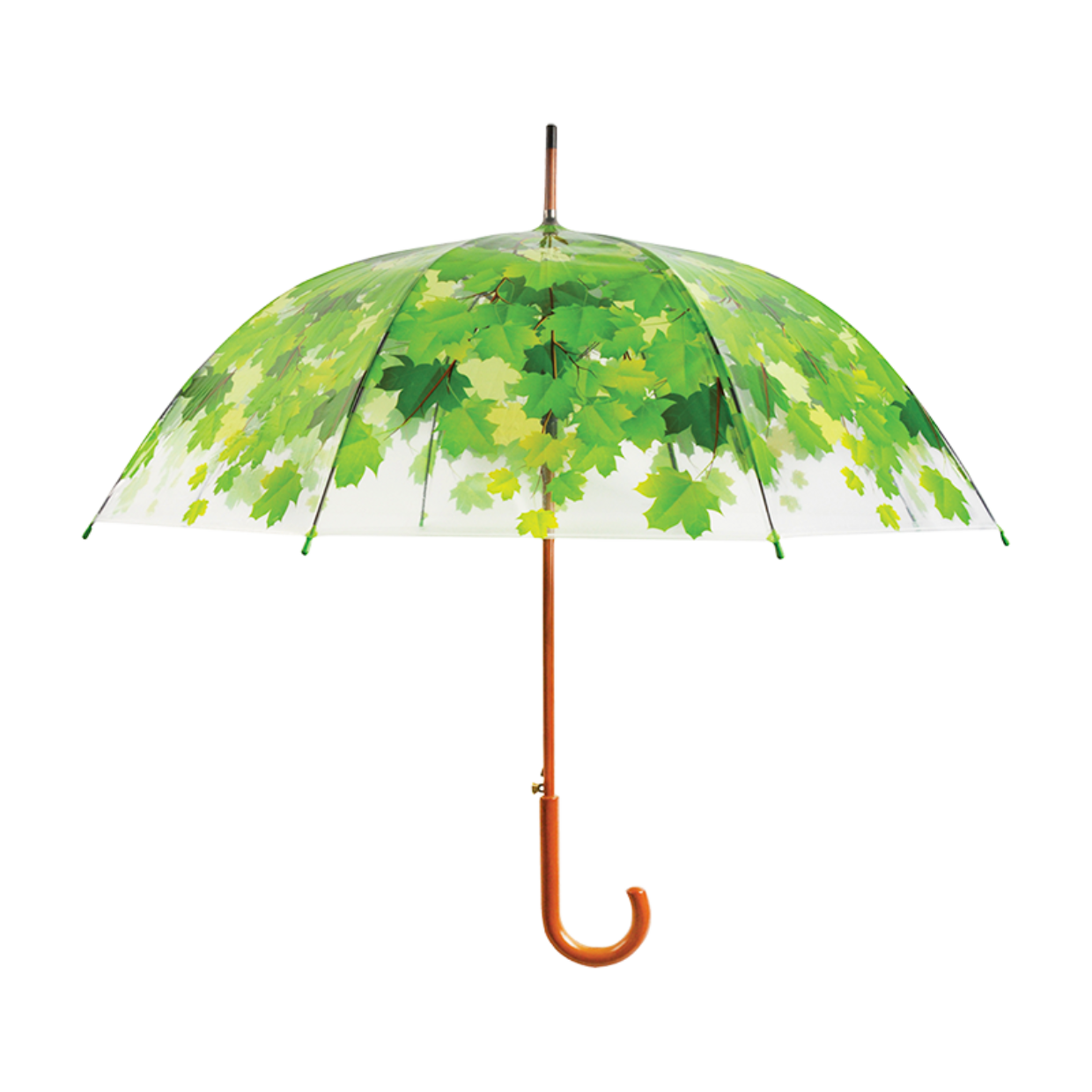 Parapluie couronne de l'arbre