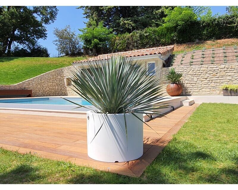 Pot ( bac ou jardinière ) déco rond Rodeo PAPI en 800 x 300 mm