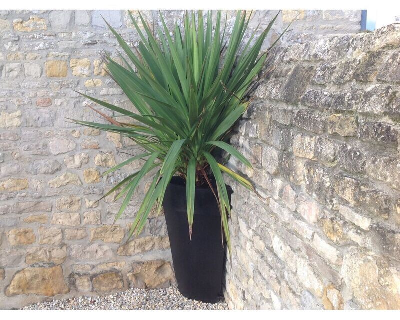 Pot ( bac ou jardinière ) d'angle déco rond PAPI en 400 x 400 x 820 mm