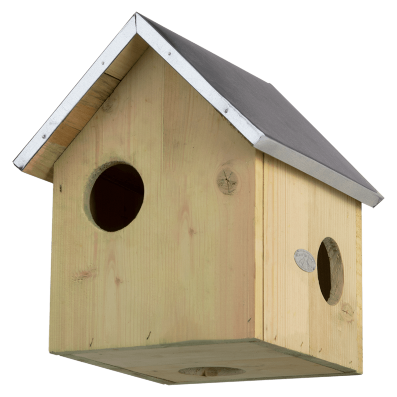 Maison pour écureuil