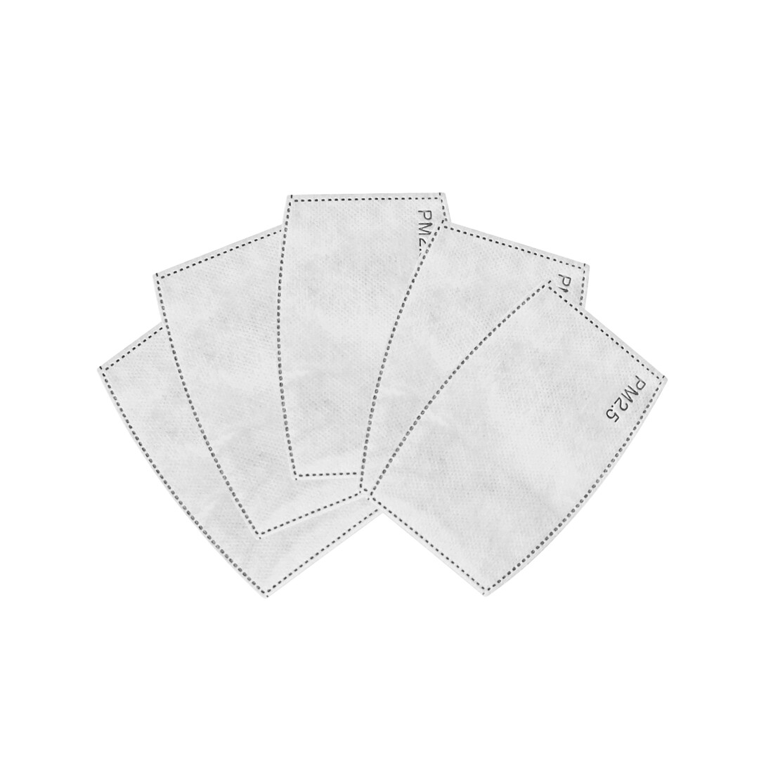 PM2.5 Face Mask Filters (Pack of 5)