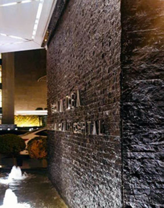 BLACK SILK - Płytki elewacyjne - (Próbka)