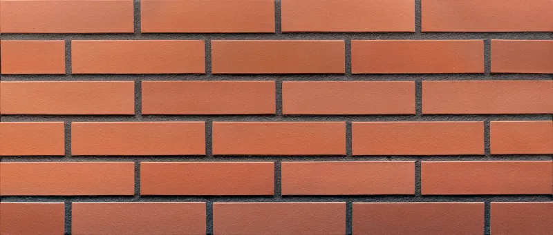 Ruby Red (01) DREAM HOUSE   - Płytka klinkierowa