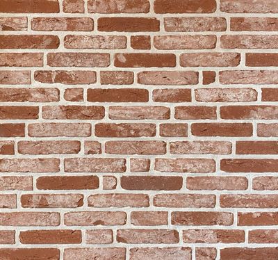 Tongerse klinker - Cegła elewacyjna