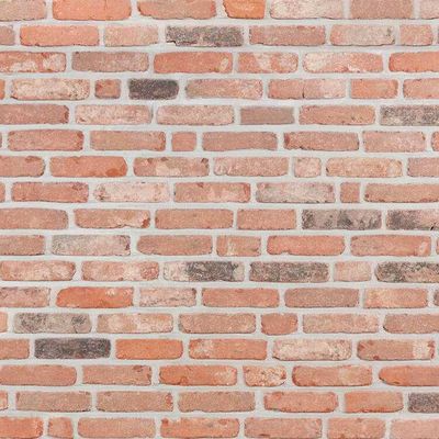 Brabants klompje - Cegła ręcznie formowana