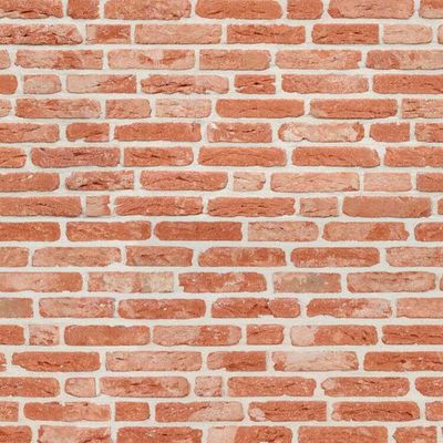 Hoeveklinker  - Cegła ręcznie formowana