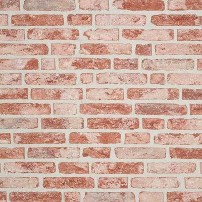 Brique de Dinant WF - płytka elewacyjna