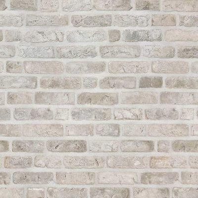 Fumégrijze Moef - płytka elewacyjna