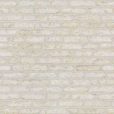 Vlissingse Klinker Wit - płytka elewacyjna