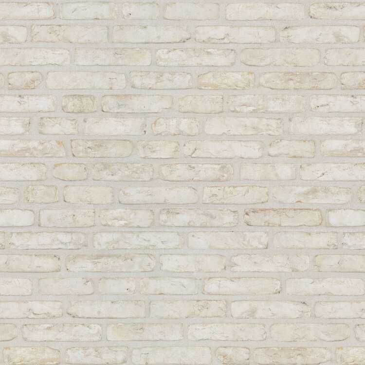 Vlissingse Klinker Wit - Cegła elewacyjna