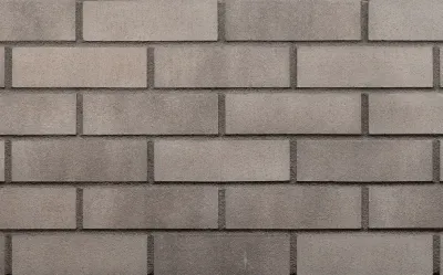 Silver fox (HF72) OLD CASTLE - Klinkerriemchen