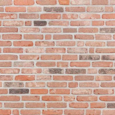 Brabants Klompje Handmade Brick - Handform-Klinker