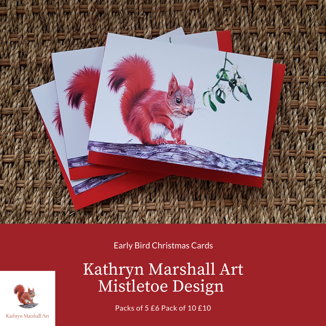 Red Squirrel and Mistletoe Christmas Cards