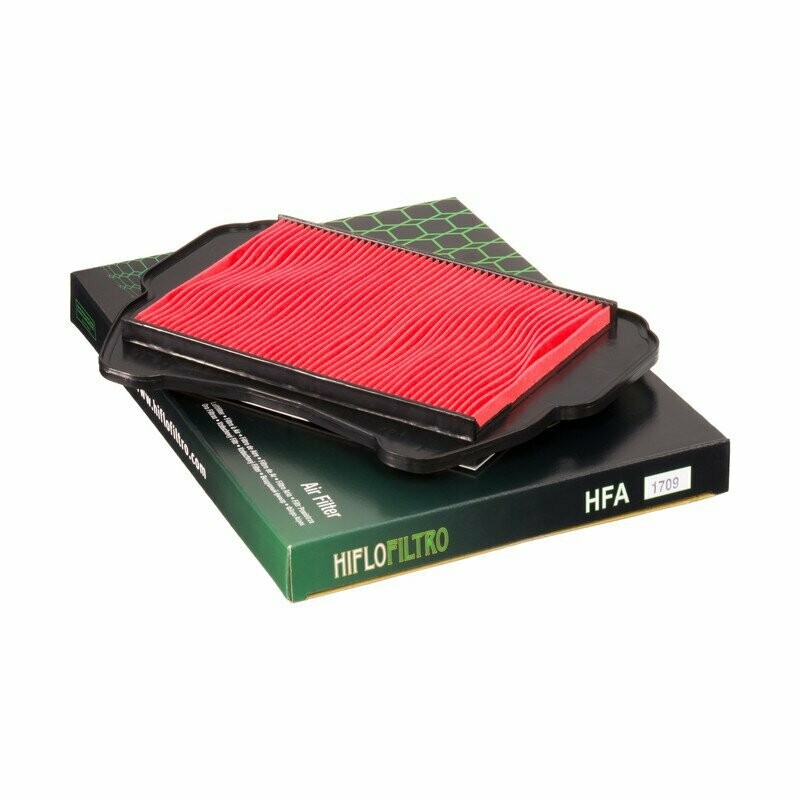 Air Filter Element, HFA1709